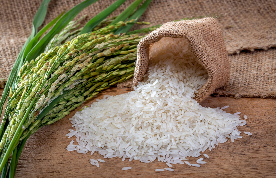 營養師建議如何聰明攝取澱粉