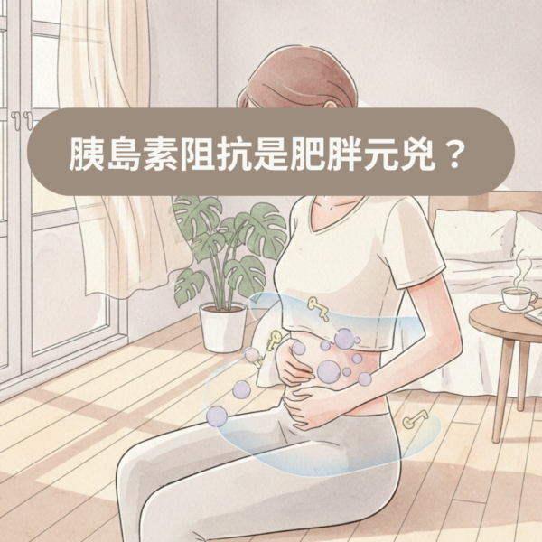 胰島素阻抗是肥胖元兇？