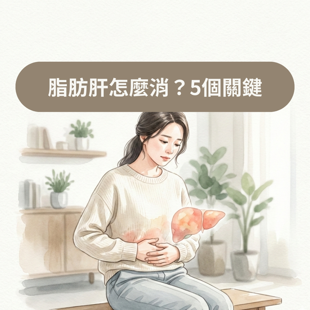 脂肪肝怎麼消？5個關鍵