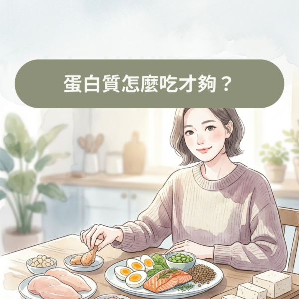 蛋白質怎麼吃才夠？